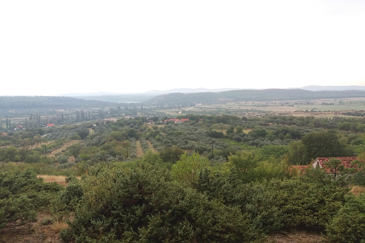 Pogled na polje sa Plančenika preko Miloševića